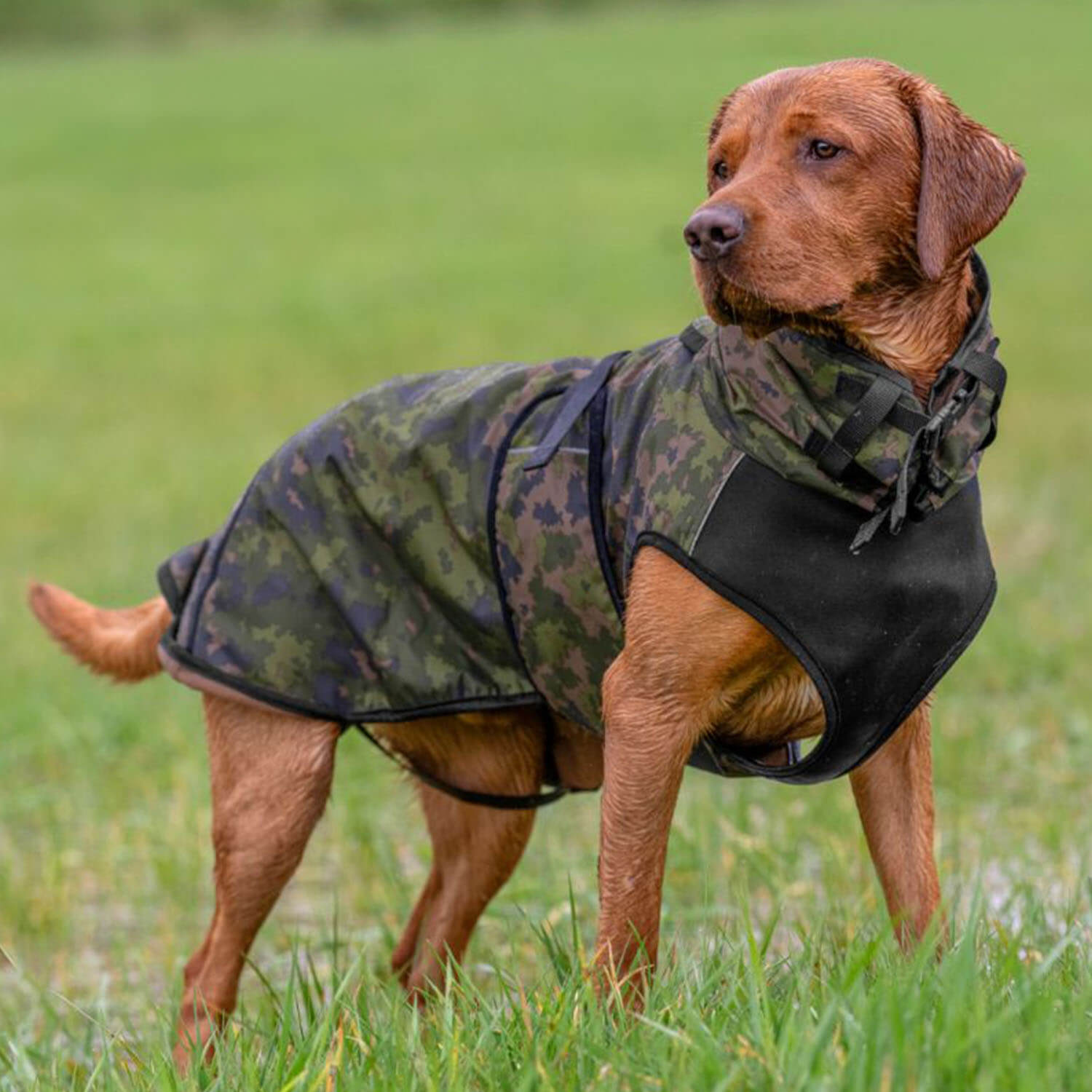 Actionfactory Hundecape Elastic Light (Camo) - Hundezubehör